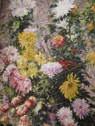 Chrysanthèmes blancs et jaunes